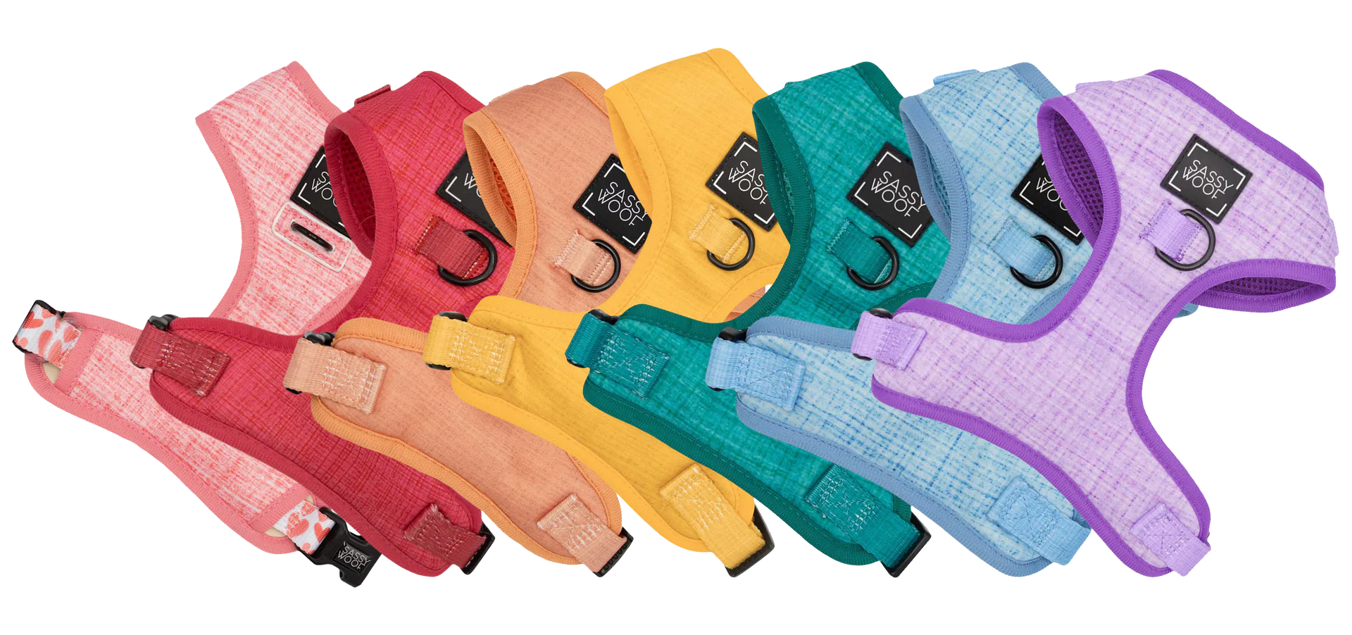 Vibrant Style for Every Pup