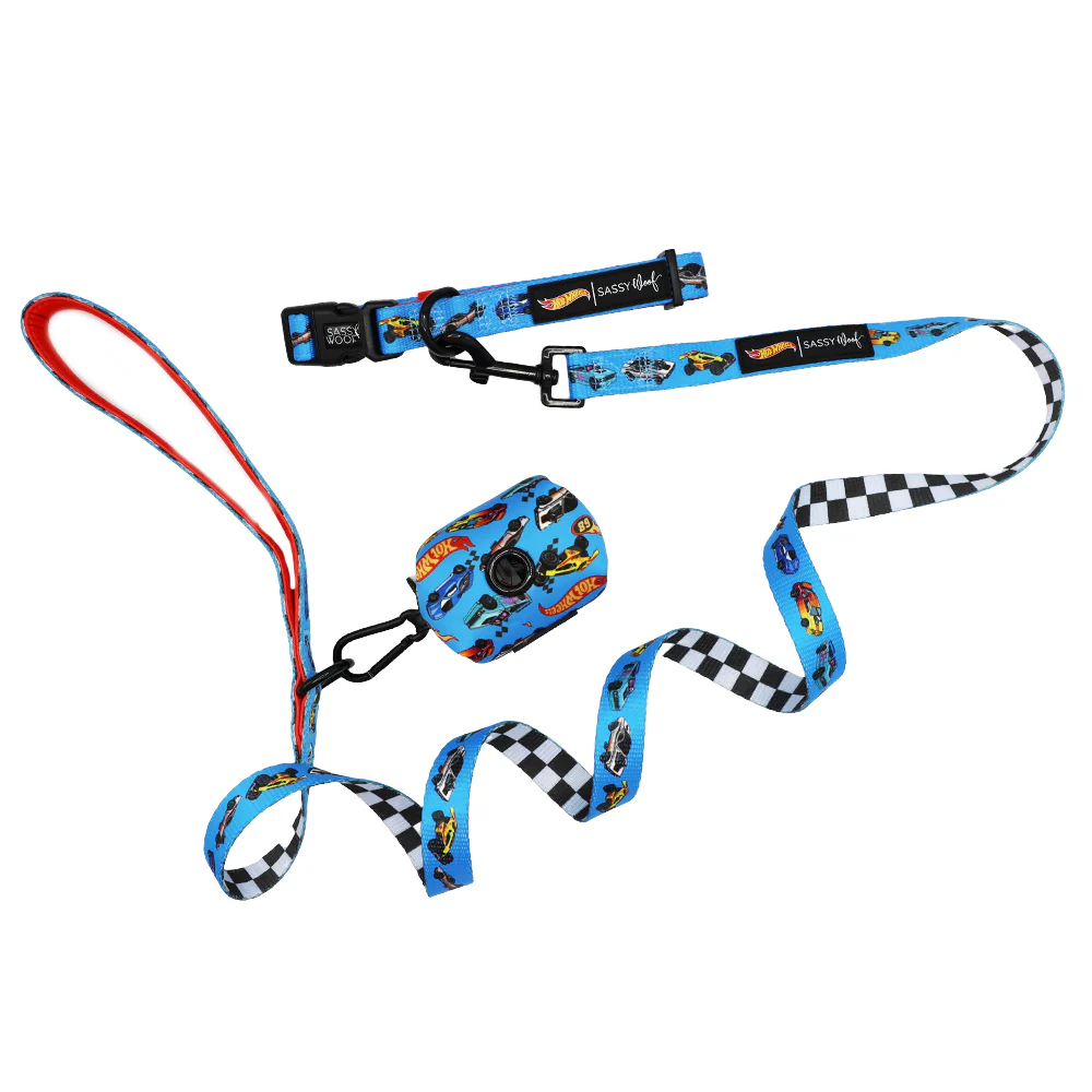 Hot Wheels™ X Sassy Woof